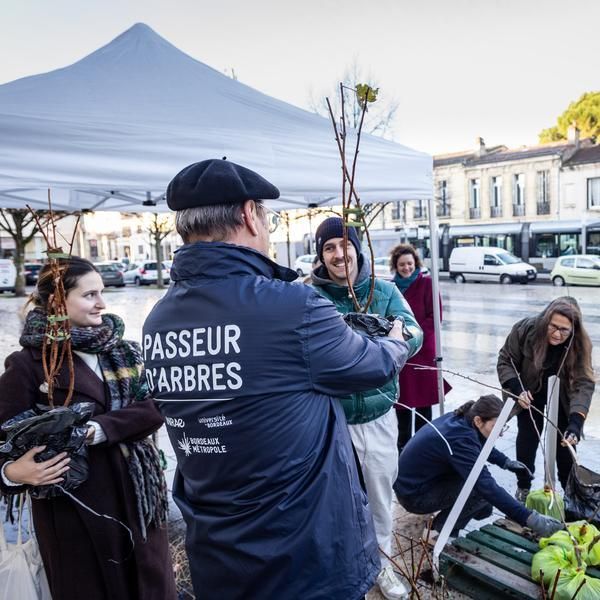 Distribution de 200 arbres fruitiers sur le marché de Noël