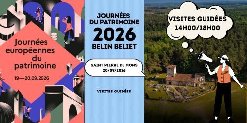 Guided tour discovering Saint Pierre de Mons