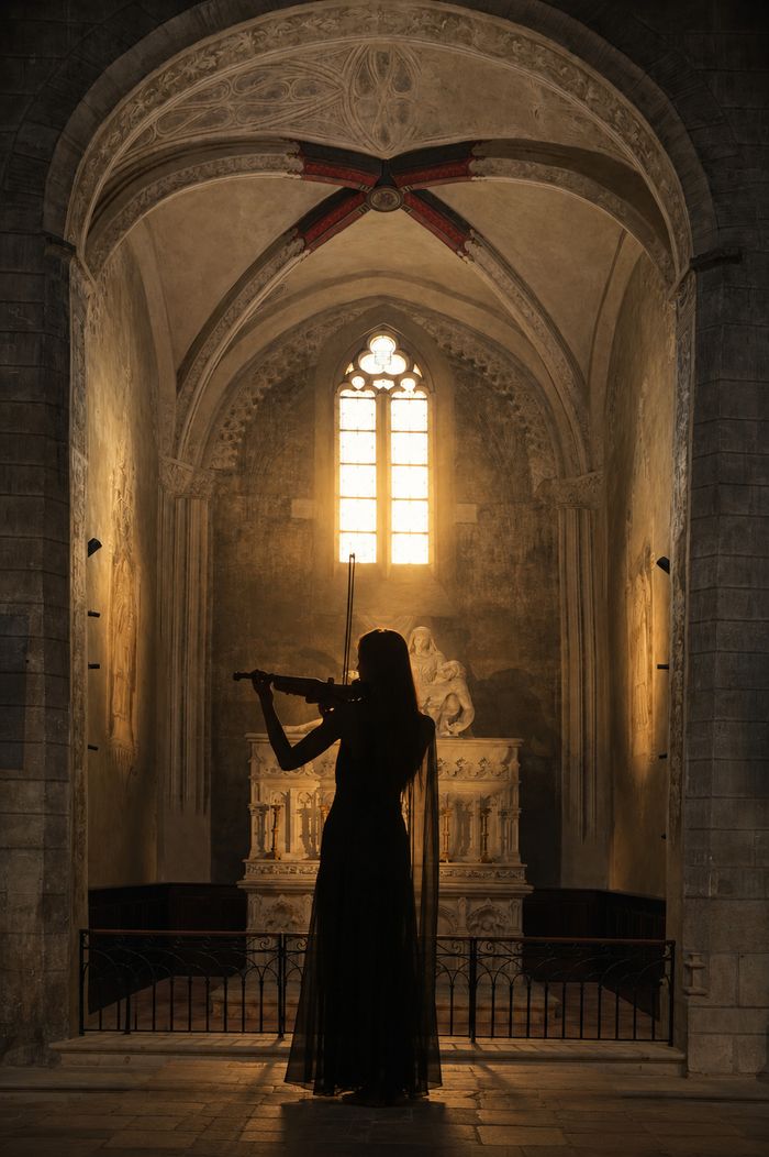 Affiche — Le patrimoine sublimé par la musique : concert de violon en la Collégiale Saint-Salvi