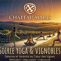 Harmonie au crépuscule: yoga dans les vignes