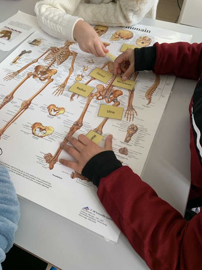Journées Européennes de l'Archéologie : Les métiers de l'archéologie