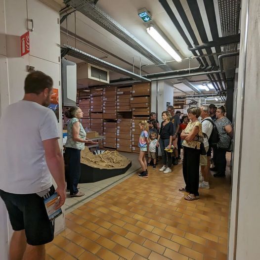 Visites guidées des réserves archéologiques