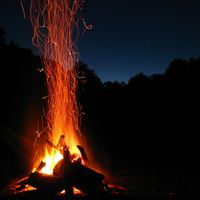 Focs de Sant Joan - Ramon Gual
