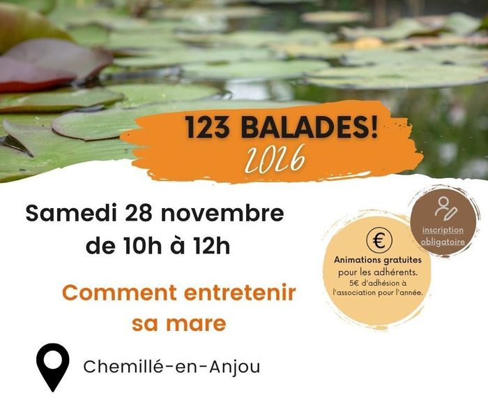 Comment entretenir sa mare