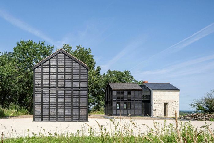 Visite d’une maison en tuffeau réhabilitée avec extension bois