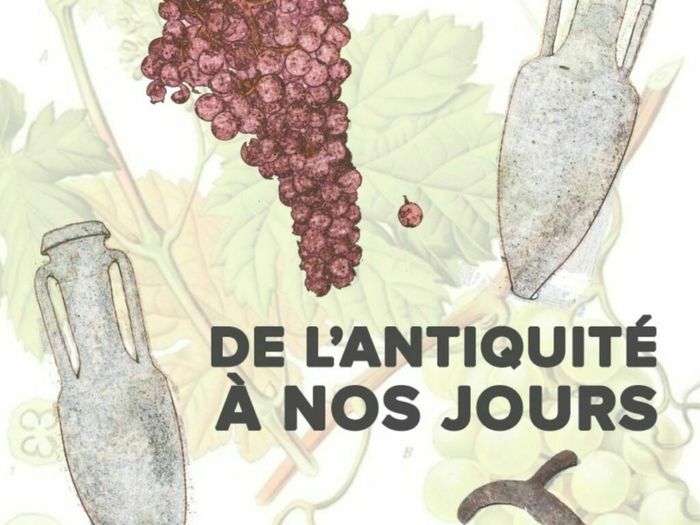 Exposition: Les vins de l'antiquité à nos jours