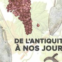 Exposition: Les vins de l'antiquité à nos jours