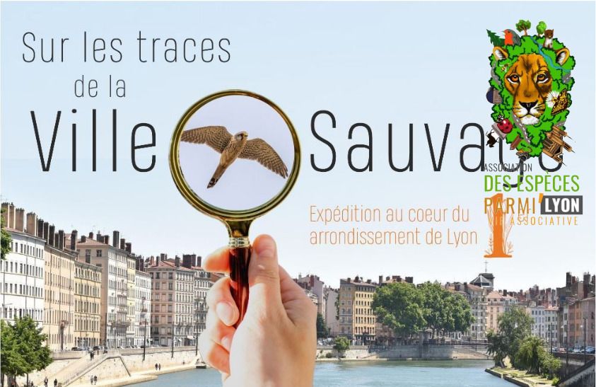 Balade biodiversité avec "Des Espèces Parmi'Lyon"