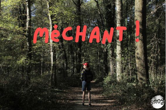 Proposition de spectacle pour le catalogue culturel du Loiret