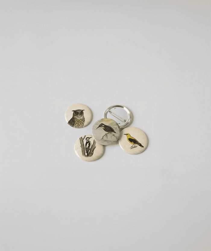 Badges oiseaux