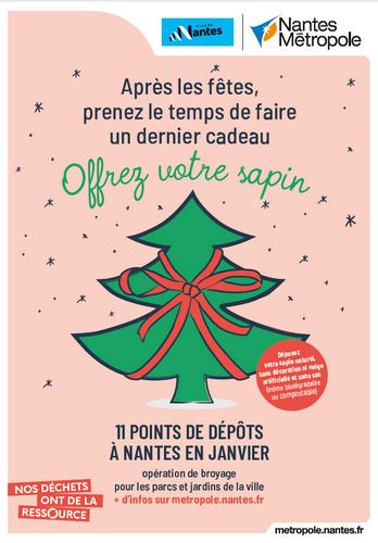 Collecte des sapins de Noël
