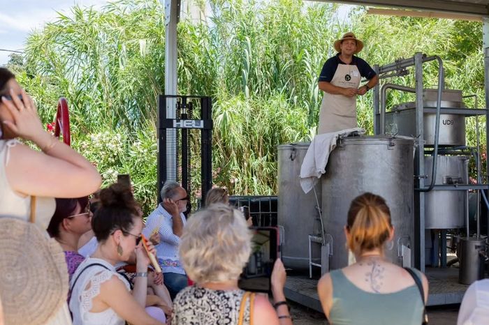 Guided tour of a lavender distillery