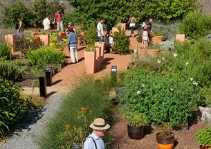 VISITE AUX JARDINS DU MUSÉUM