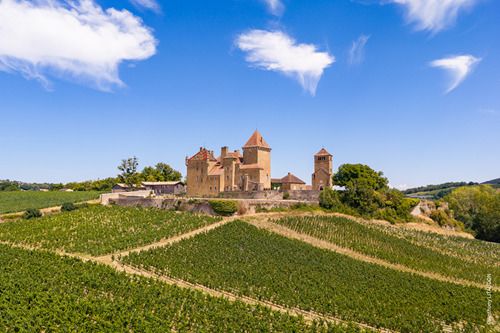 Visite historique du château de de Pierreclos