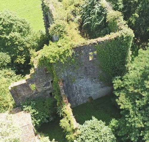 Animations et découverte du château