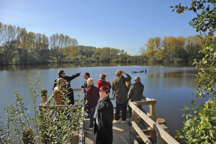 Balade naturaliste : oiseaux