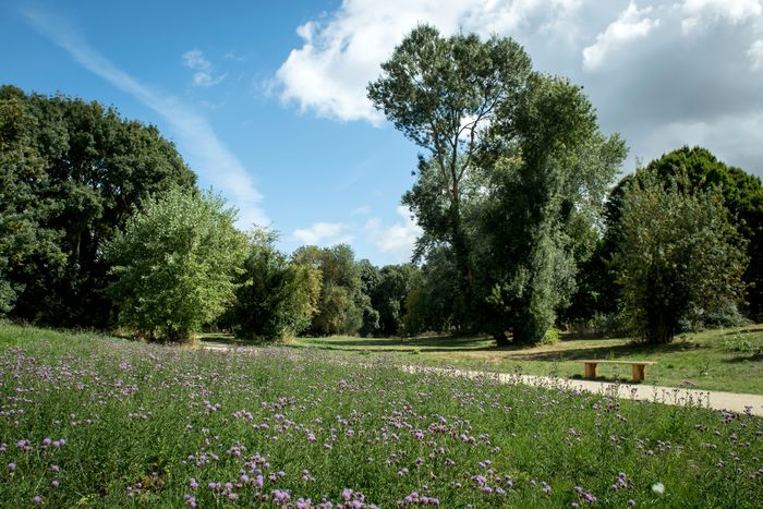 Découverte du Parc Naturel de Beaulieu