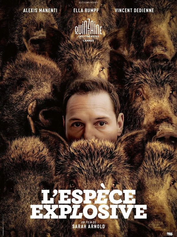 +rencontre cinéaste - Dans la campagne du Nord-Est de la France. Les sangliers qui ravagent les cultures provoquent une guerre ouverte entre chasseurs et agriculteurs. Brun, céréalier en faillite, ...