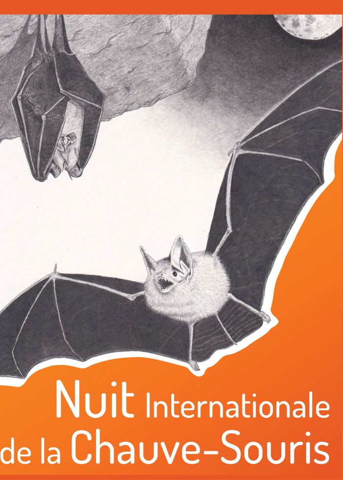 Nuit des chauves-souris
à Gambaiseuil