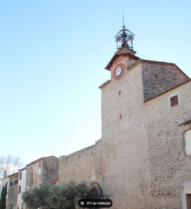 Visite guidée en Vallespir - Saint-Jean-Pla-de-Corts