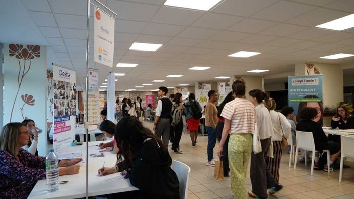 Atelier coaching CV et entretien