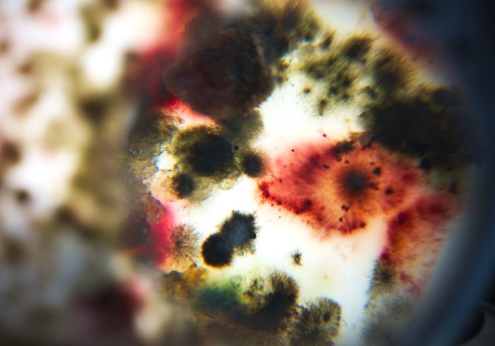 Pister l'invisible
