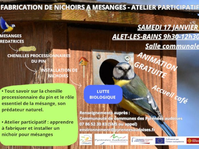 Atelier fabrication de nichoirs pour mésanges