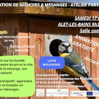 Atelier fabrication de nichoirs pour mésanges