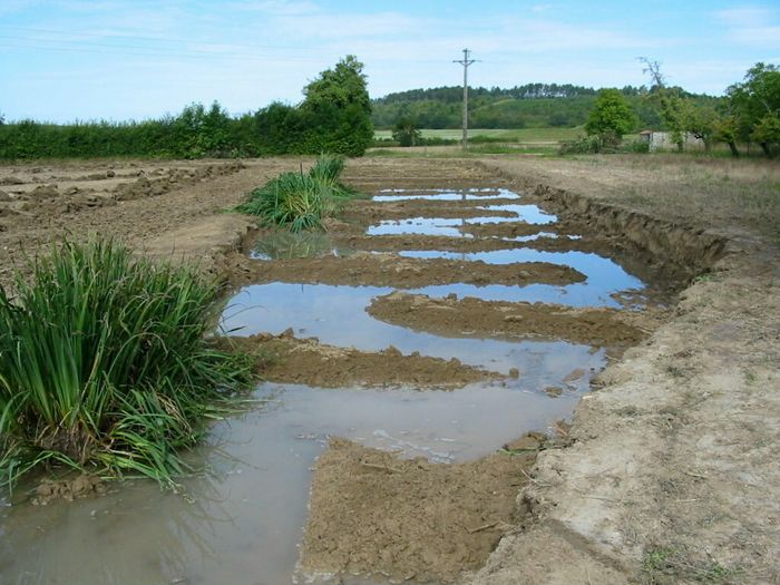 Gestion de la ressource en eau en agriculture paysanne.