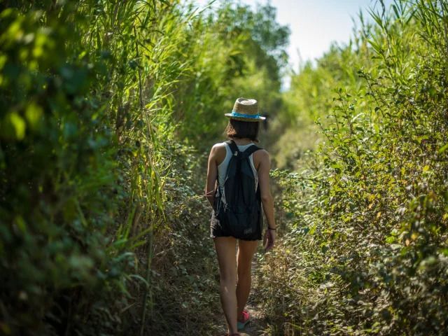 Rendez-vous Fête de la nature : “Les dunes : un rempart, un refuge”