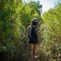 Rendez-vous Fête de la nature : “Les dunes : un rempart, un refuge”