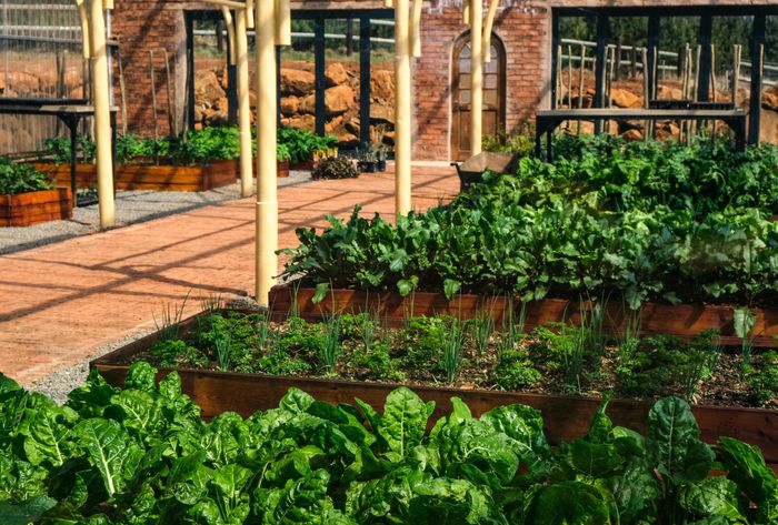 Biodiversité, photo et contes