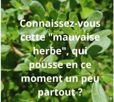 Miam miam et anti-bobo