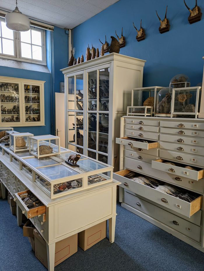 Ados : Exploration du Muséum