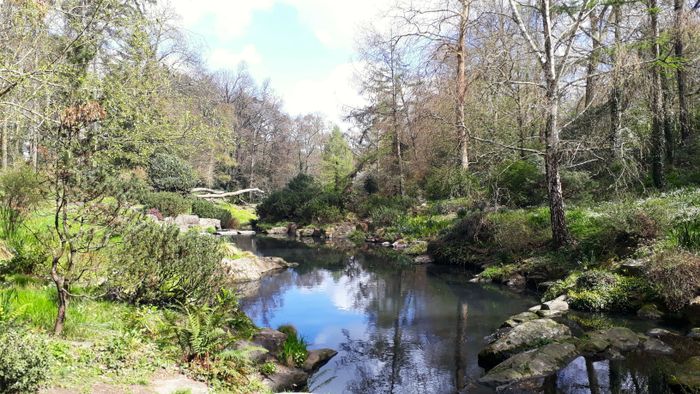 Réveil printanier au Parc de la Gaudinière