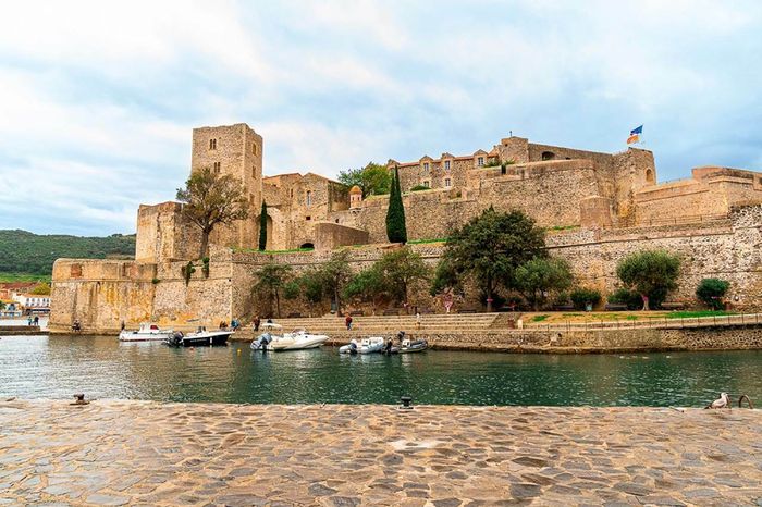 Visites du Château Royal