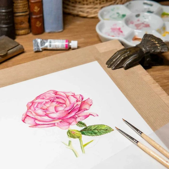 Cours d'aquarelle botanique