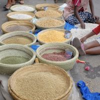 Festival Terres d’ailleurs | Terre(s) nourricière(s) #2 Goûts d’ailleurs