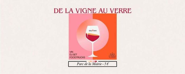 De la vigne au verre
