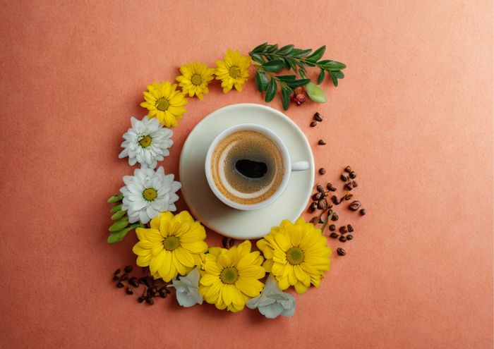 Café papotage