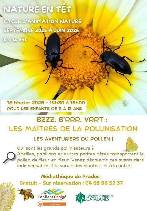 Naturet en Têt - Bzzz, B'rrr, Vrrt - les maîtres de la pollinisation