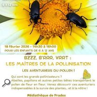 Naturet en Têt - Bzzz, B'rrr, Vrrt - les maîtres de la pollinisation