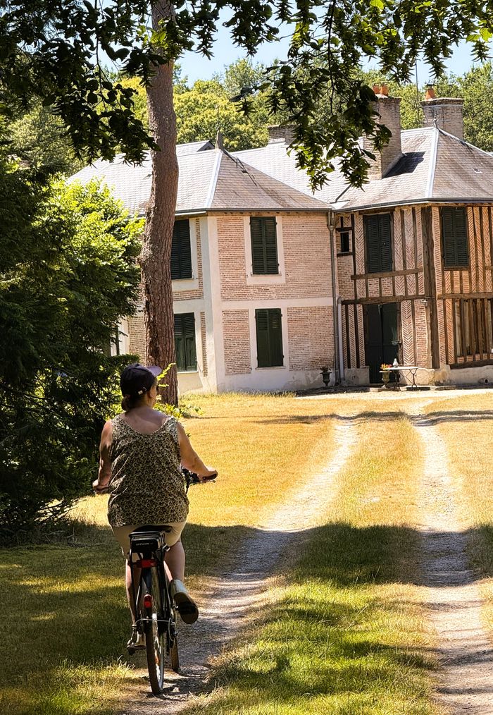Arrière plan flou de l'image