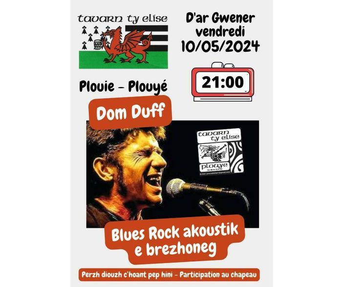 [RAOK AN HAÑV] Concert de Dom Duff à Plouyé