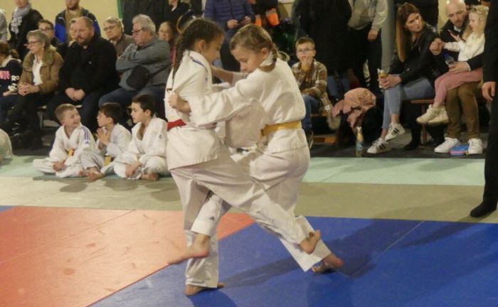 Gala judo
