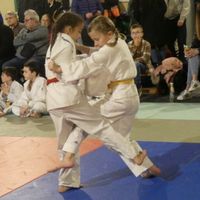 Gala judo