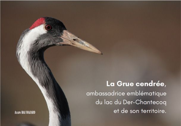 Visuel évènement