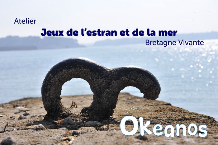 Atelier « Jeux de l’estran et de la mer », Photo : © JP Lorphelin · OpenAgenda