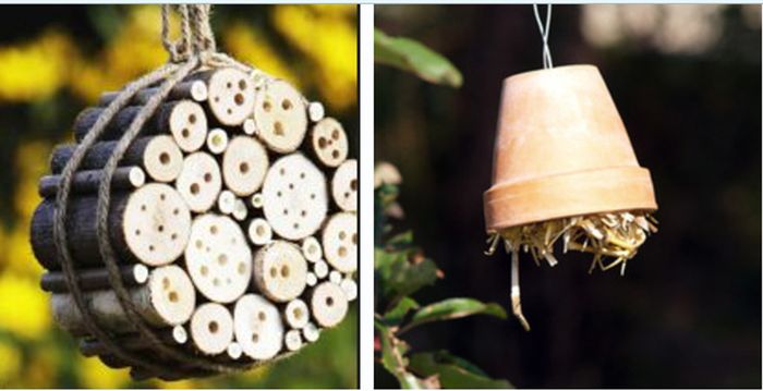 Atelier fabrication d'un hôtel à insectes