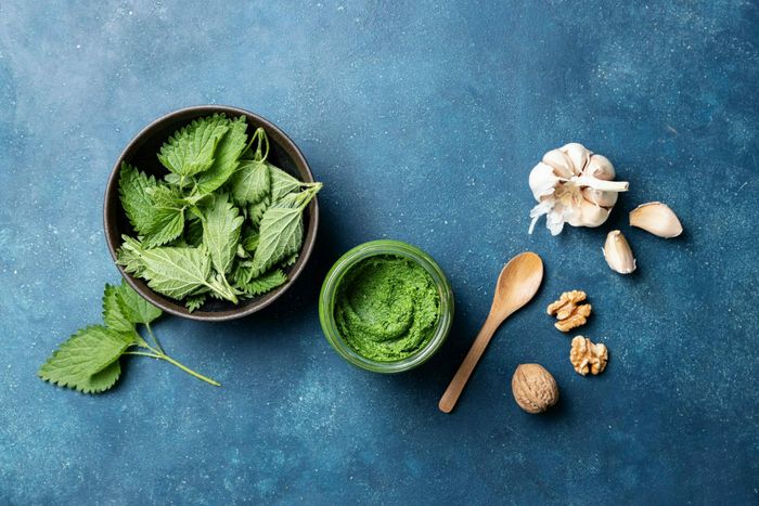 Fabrication de pesto sec aux orties // RENDEZ-VOUS AU JARDIN